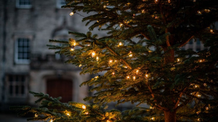 Close up of white lights on a Christmas tree.